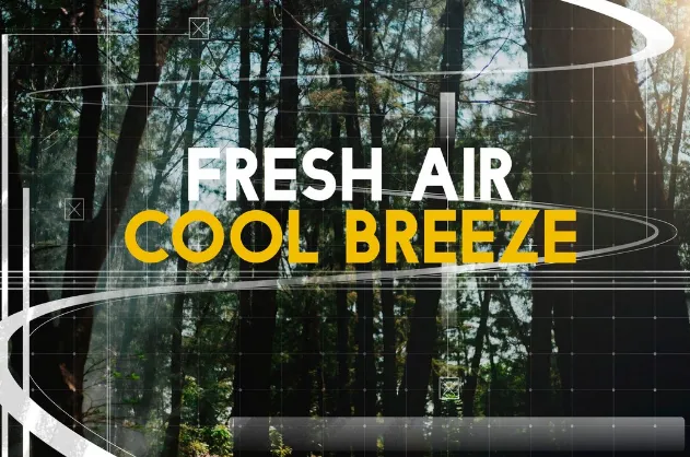 применение пленки для гладкой поверхности